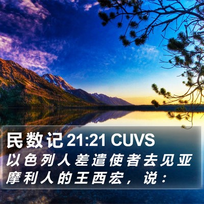 民 数 记 21:21 CUVS Bible Verse Image