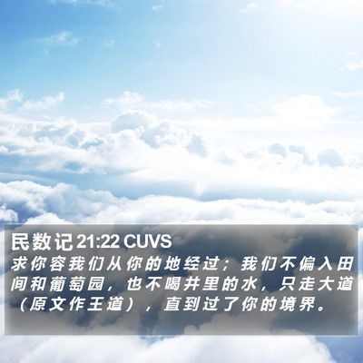 民 数 记 21:22 CUVS Bible Verse Image