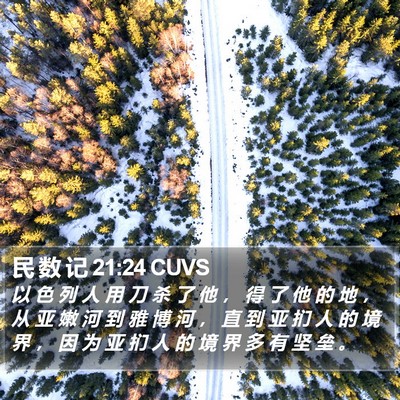 民 数 记 21:24 CUVS Bible Verse Image