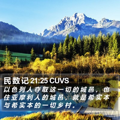 民 数 记 21:25 CUVS Bible Verse Image