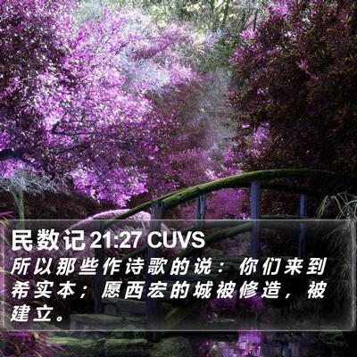 民 数 记 21:27 CUVS Bible Verse Image