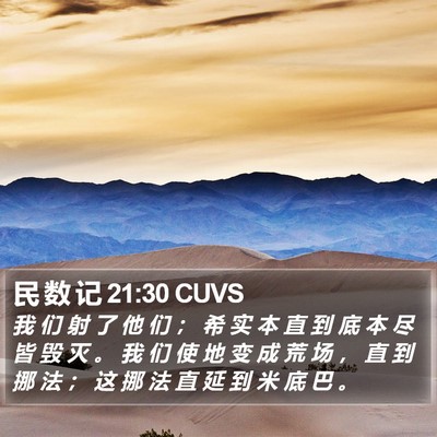 民 数 记 21:30 CUVS Bible Verse Image