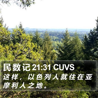 民 数 记 21:31 CUVS Bible Verse Image
