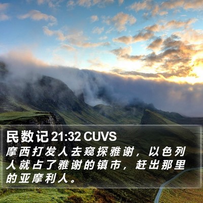 民 数 记 21:32 CUVS Bible Verse Image