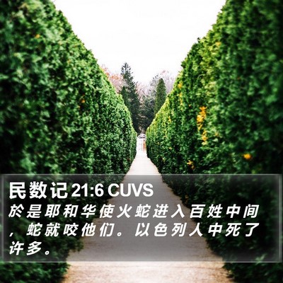 民 数 记 21:6 CUVS Bible Verse Image