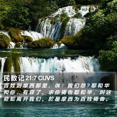 民 数 记 21:7 CUVS Bible Verse Image