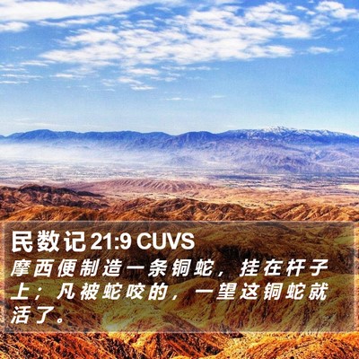 民 数 记 21:9 CUVS Bible Verse Image