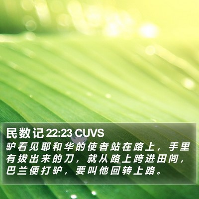 民 数 记 22:23 CUVS Bible Verse Image