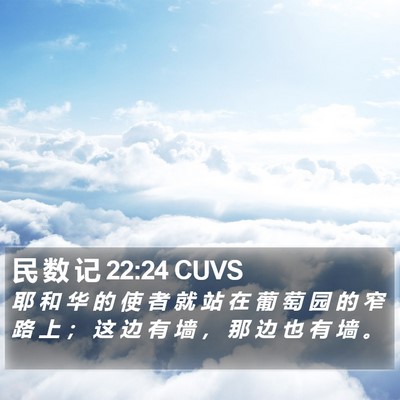 民 数 记 22:24 CUVS Bible Verse Image