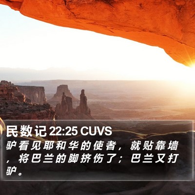 民 数 记 22:25 CUVS Bible Verse Image