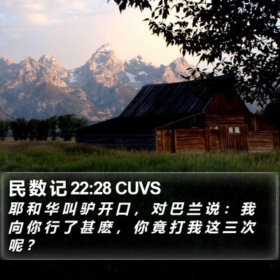 民 数 记 22:28 CUVS Bible Verse Image