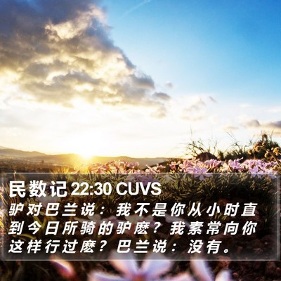 民 数 记 22:30 CUVS Bible Verse Image