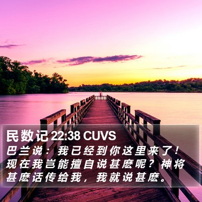 民 数 记 22:38 CUVS Bible Verse Image