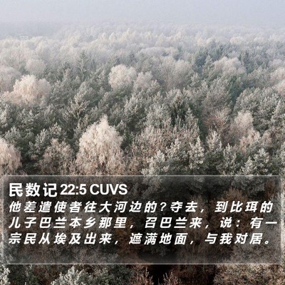 民 数 记 22:5 CUVS Bible Verse Image