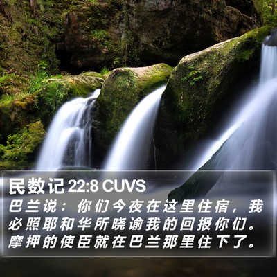 民 数 记 22:8 CUVS Bible Verse Image