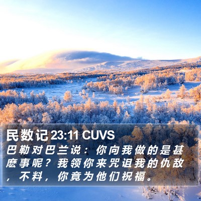民 数 记 23:11 CUVS Bible Verse Image