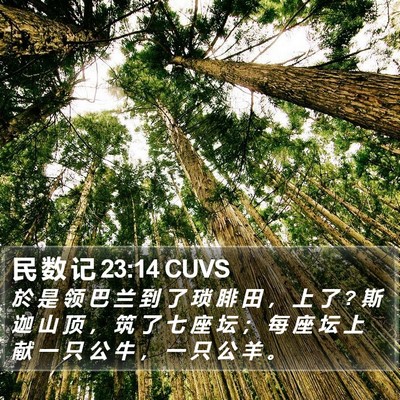 民 数 记 23:14 CUVS Bible Verse Image