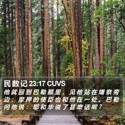 民 数 记 23:17 CUVS Bible Verse Image