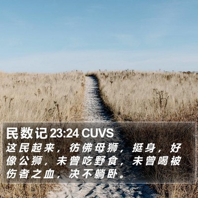 民 数 记 23:24 CUVS Bible Verse Image