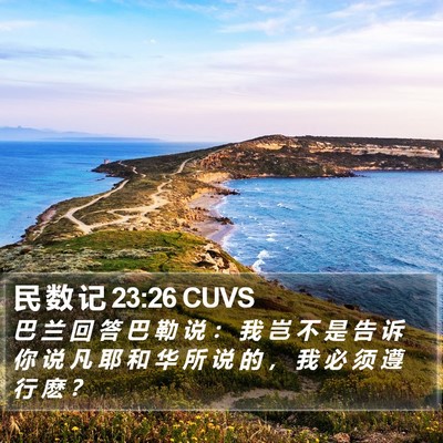 民 数 记 23:26 CUVS Bible Verse Image