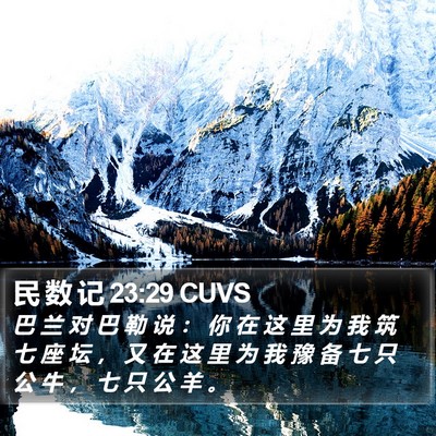 民 数 记 23:29 CUVS Bible Verse Image
