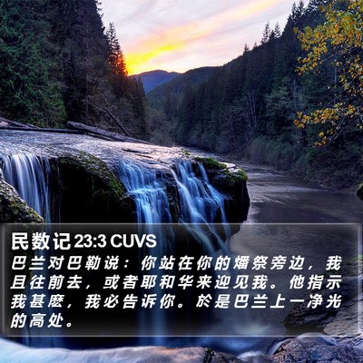 民 数 记 23:3 CUVS Bible Verse Image