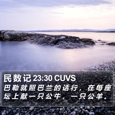 民 数 记 23:30 CUVS Bible Verse Image