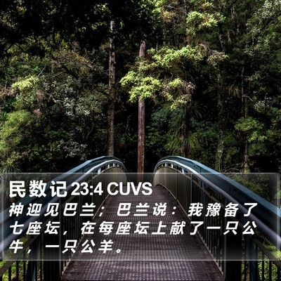 民 数 记 23:4 CUVS Bible Verse Image
