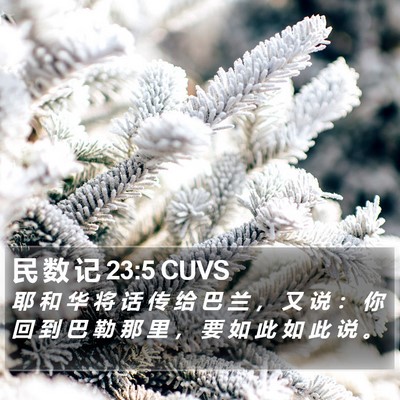 民 数 记 23:5 CUVS Bible Verse Image