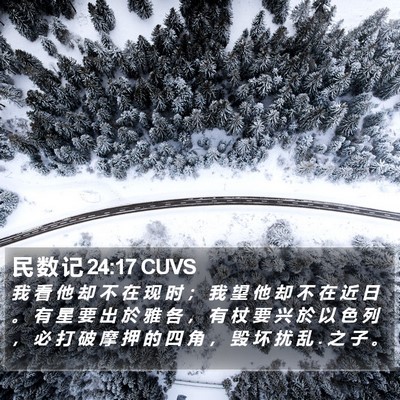 民 数 记 24:17 CUVS Bible Verse Image