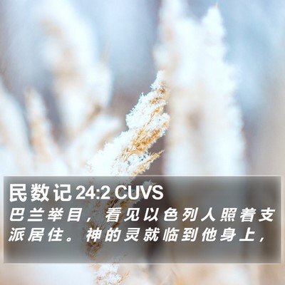 民 数 记 24:2 CUVS Bible Verse Image