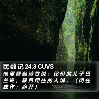 民 数 记 24:3 CUVS Bible Verse Image