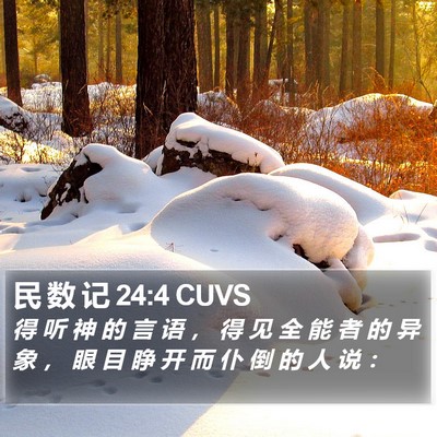 民 数 记 24:4 CUVS Bible Verse Image
