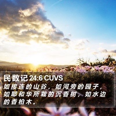 民 数 记 24:6 CUVS Bible Verse Image