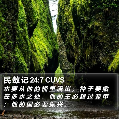 民 数 记 24:7 CUVS Bible Verse Image