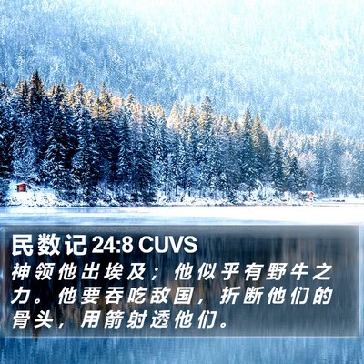 民 数 记 24:8 CUVS Bible Verse Image
