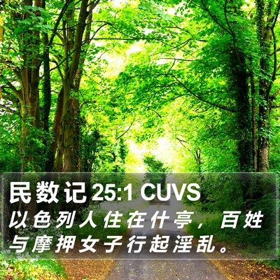 民 数 记 25:1 CUVS Bible Verse Image