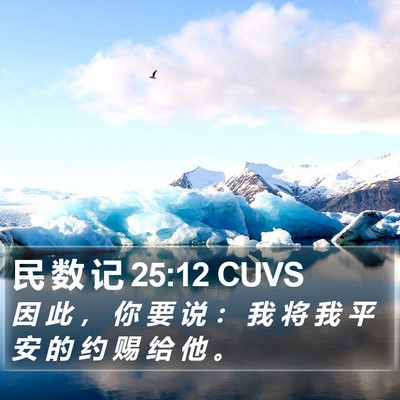 民 数 记 25:12 CUVS Bible Verse Image