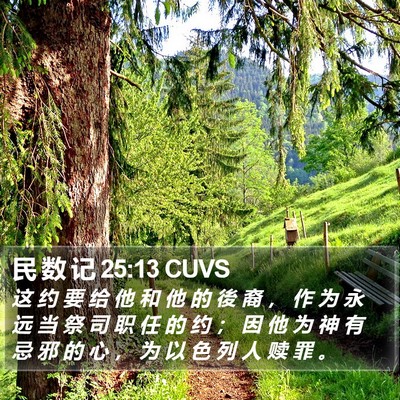 民 数 记 25:13 CUVS Bible Verse Image