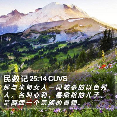 民 数 记 25:14 CUVS Bible Verse Image