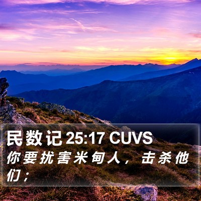 民 数 记 25:17 CUVS Bible Verse Image