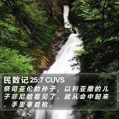 民 数 记 25:7 CUVS Bible Verse Image