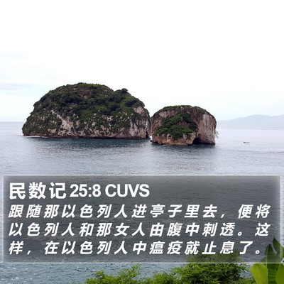 民 数 记 25:8 CUVS Bible Verse Image