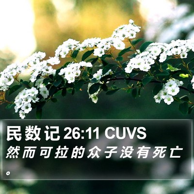 民 数 记 26:11 CUVS Bible Verse Image