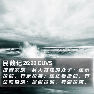民 数 记 26:20 CUVS Bible Verse Image