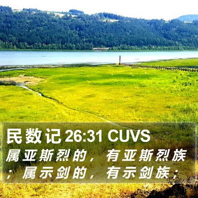 民 数 记 26:31 CUVS Bible Verse Image