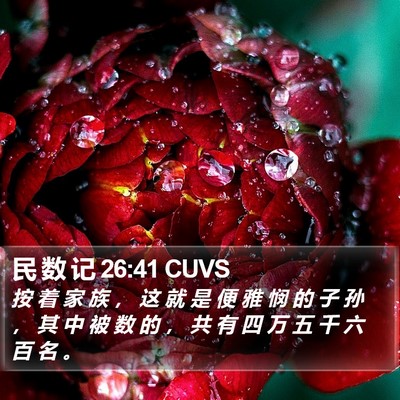 民 数 记 26:41 CUVS Bible Verse Image
