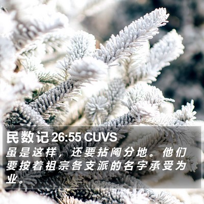 民 数 记 26:55 CUVS Bible Verse Image