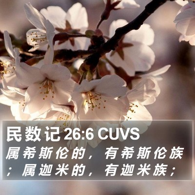 民 数 记 26:6 CUVS Bible Verse Image