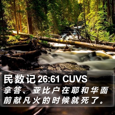 民 数 记 26:61 CUVS Bible Verse Image